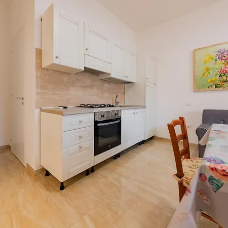Life Tree - Bruna Sh Apartamento *